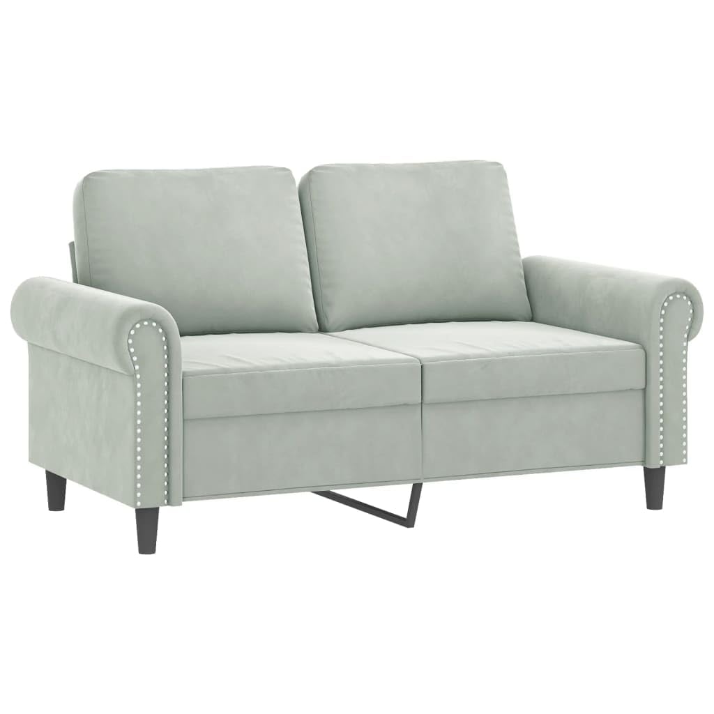Light Gray Velvet 2 Piece Sofa Set F824