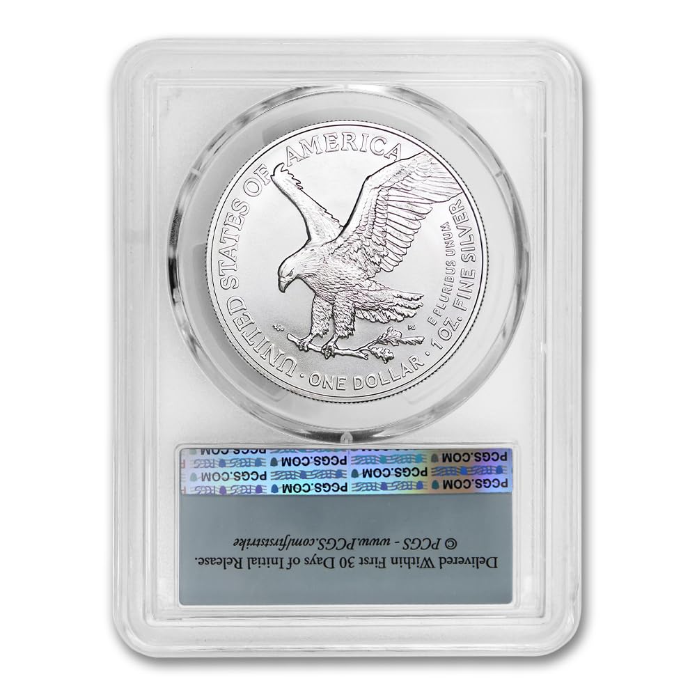 1 oz American Silver Eagle Coin MS-70 I976499