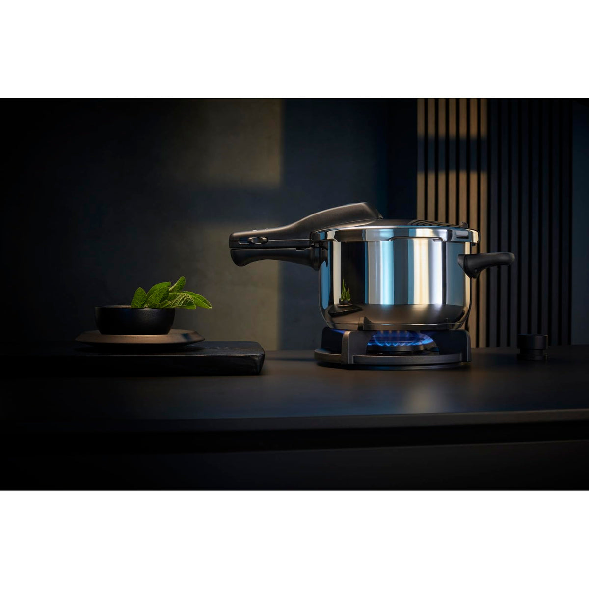 3 Litres Stainless Steel Pressure Cooker C292229