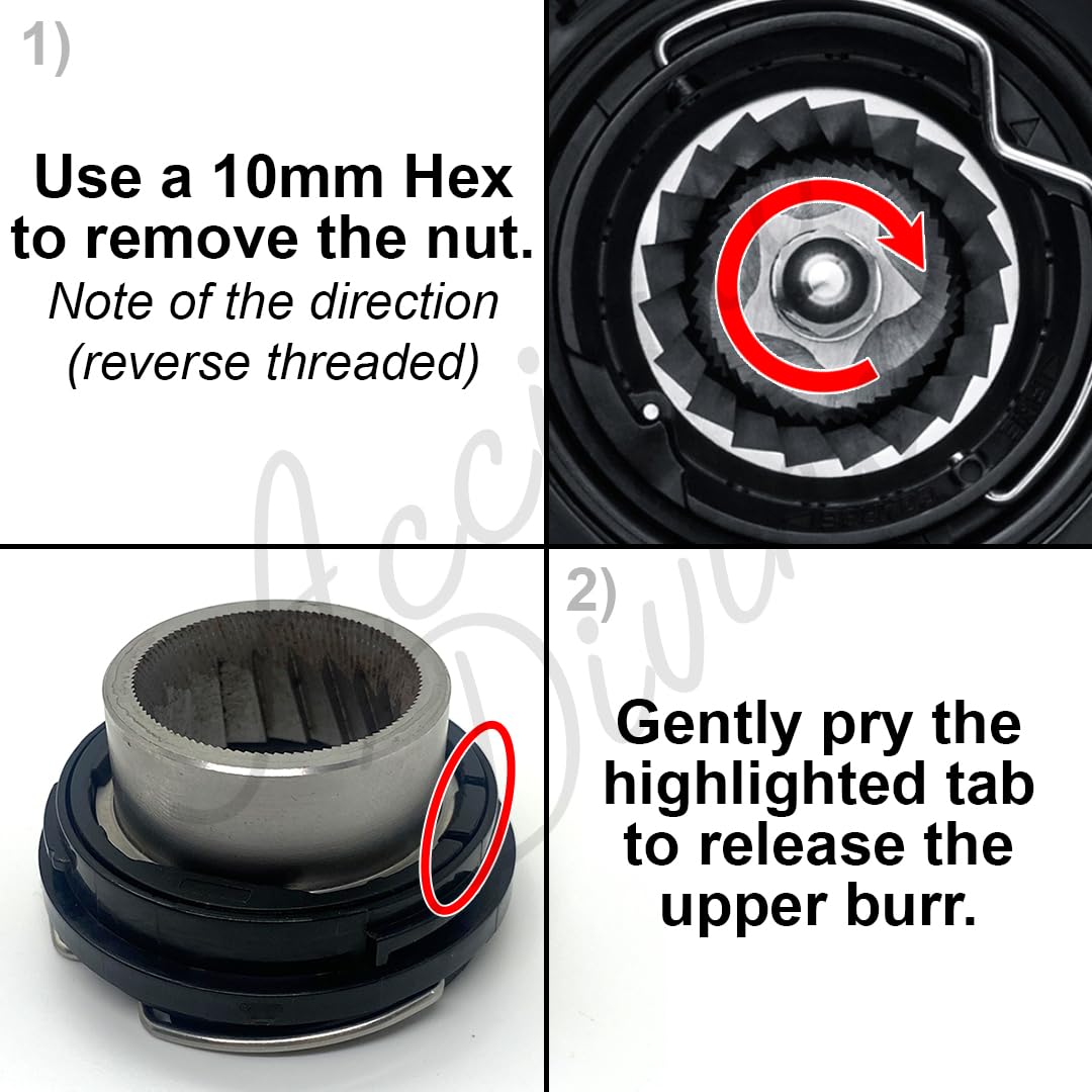 Conical Burrs for Coffee Grinders B9554