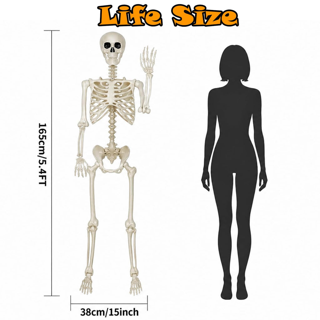 Life Size Posable Skeleton Decorations H92500