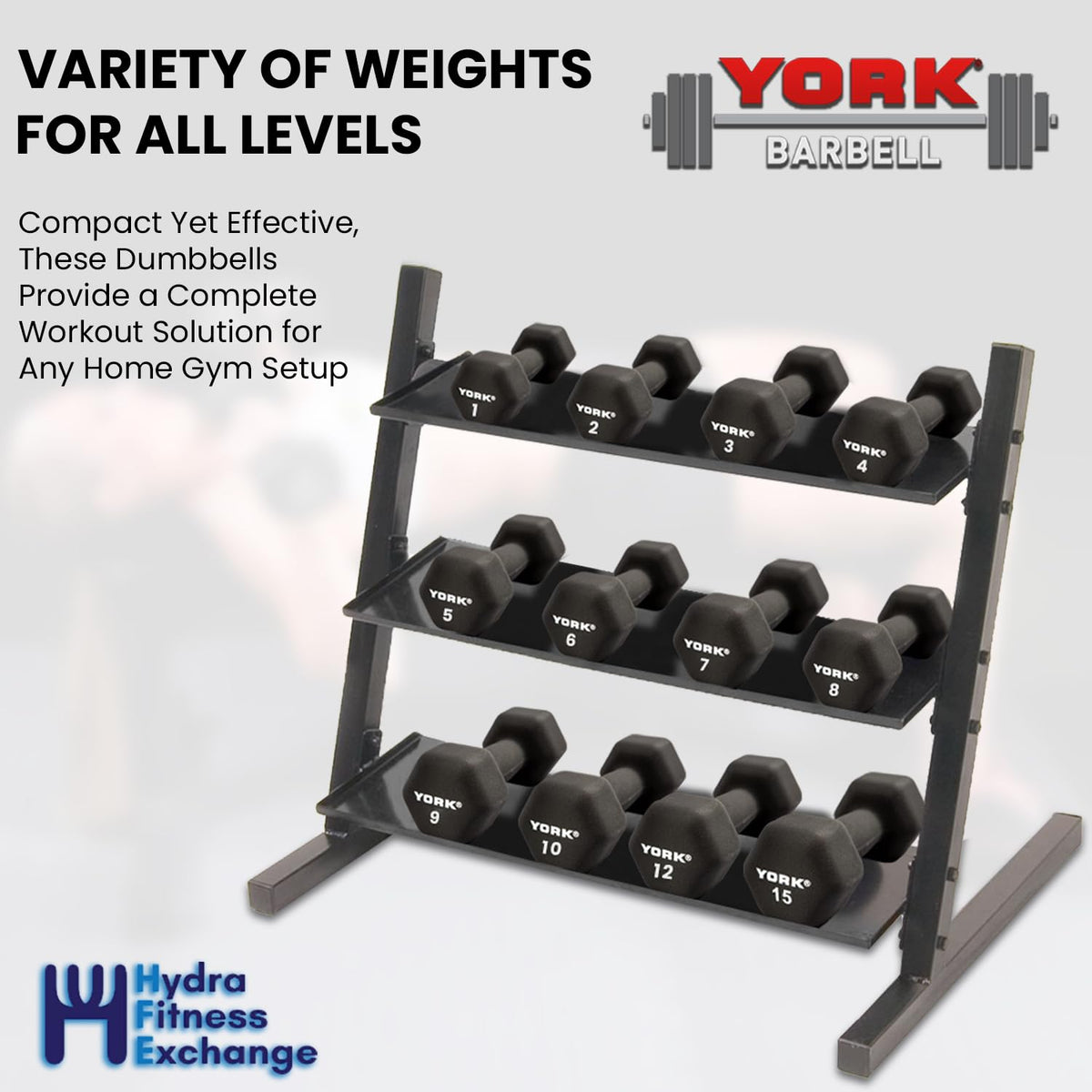 Neoprene Hexagon Dumbbells with Cast Ergo Handle 10lb Pack of 1 N4344