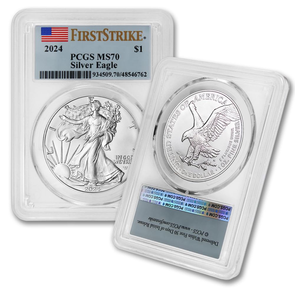 1 oz American Silver Eagle Coin MS-70 I976499