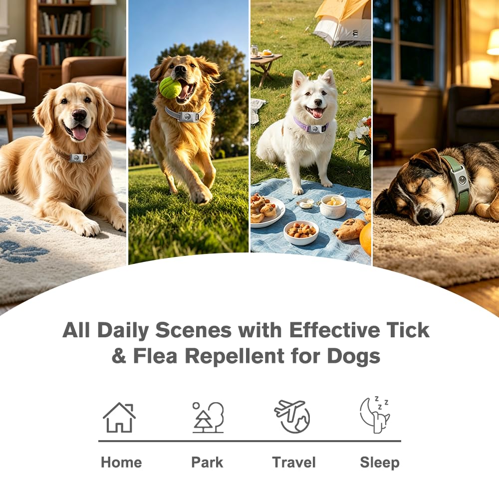 Flea and Tick Pendant for Dogs with 2 Silicone Buckles 4 Refills T280
