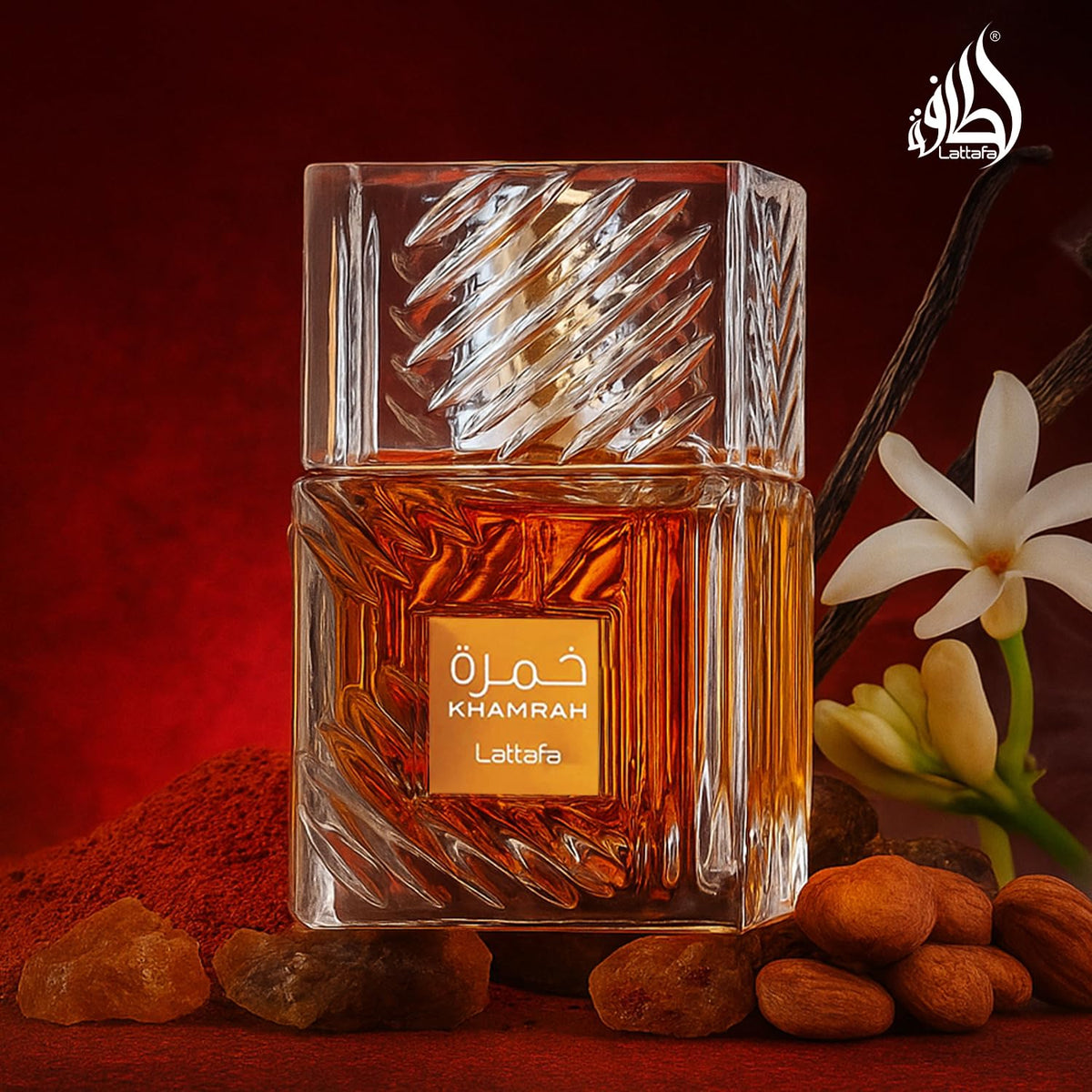 Vanilla Warm Spicy Amber Cinnamon Eau de Parfum 3.40 Ounce / 100 ml U818431