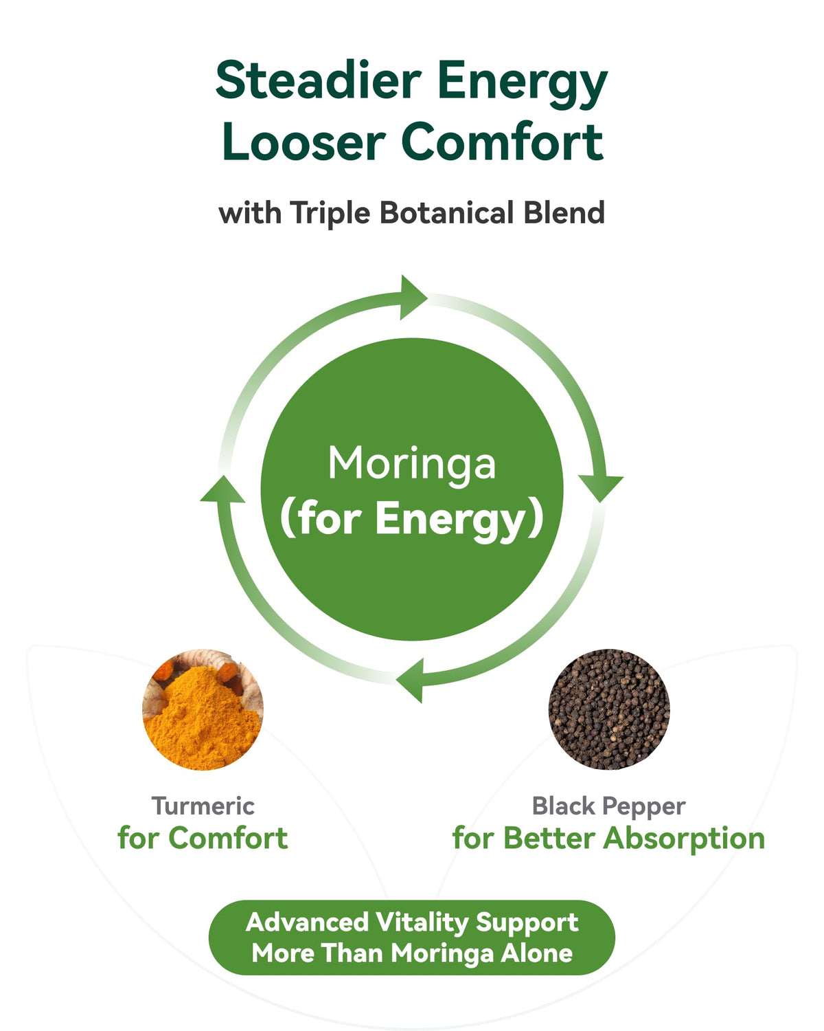 Moringa Capsules 1000mg 10:1 Moringa Leaf Extract 60 Count H762