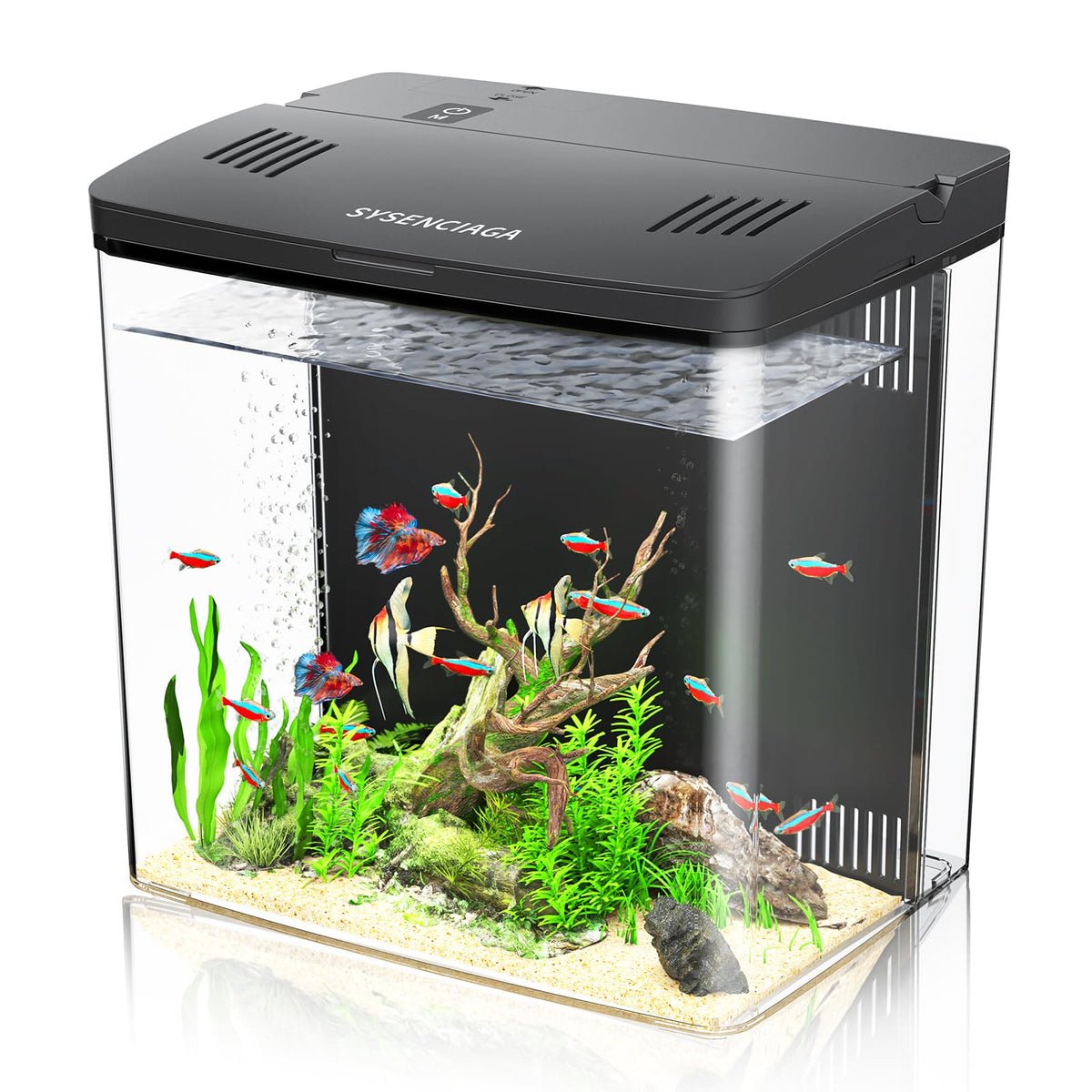 1 Gallon Acrylic Fish Tank Kit with Filter and Light S253618