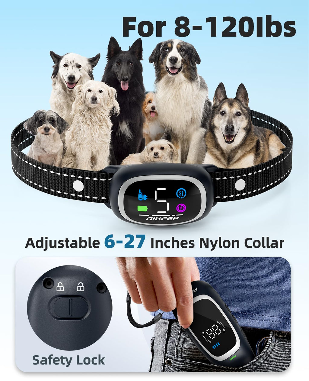 2-in-1 Dog Training Collar with Remote Y687