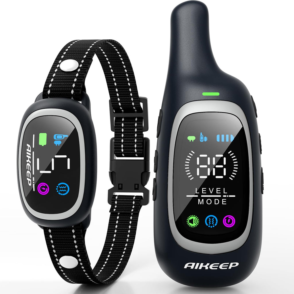 2-in-1 Dog Training Collar with Remote Y687