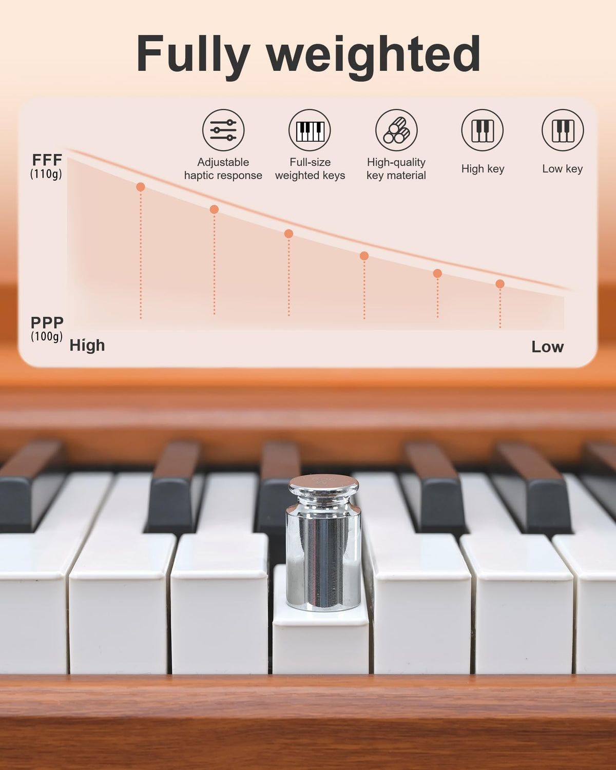 88 Key Full Weighted Hammer-Action Digital Piano with Stand T29905