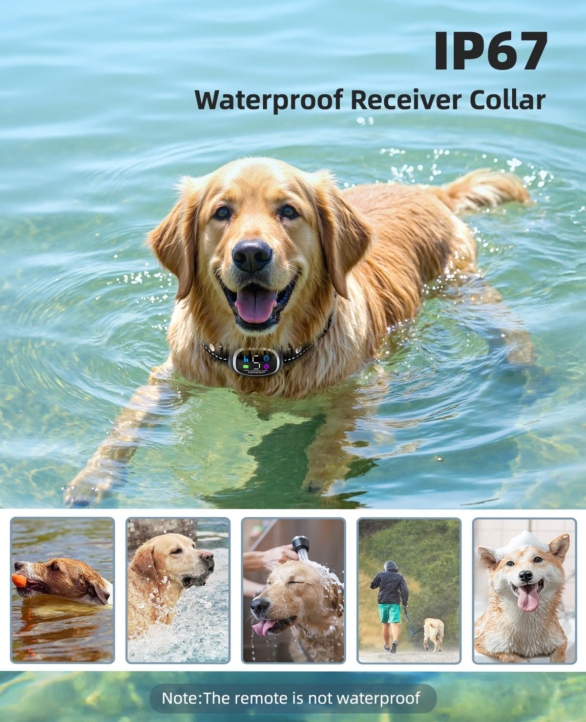 2-in-1 Dog Training Collar with Remote Y687