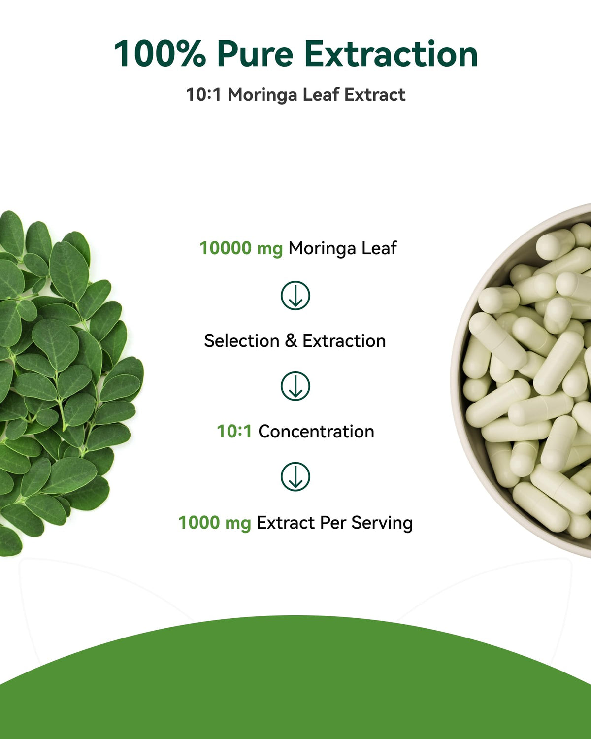Moringa Capsules 1000mg 10:1 Moringa Leaf Extract 60 Count H762