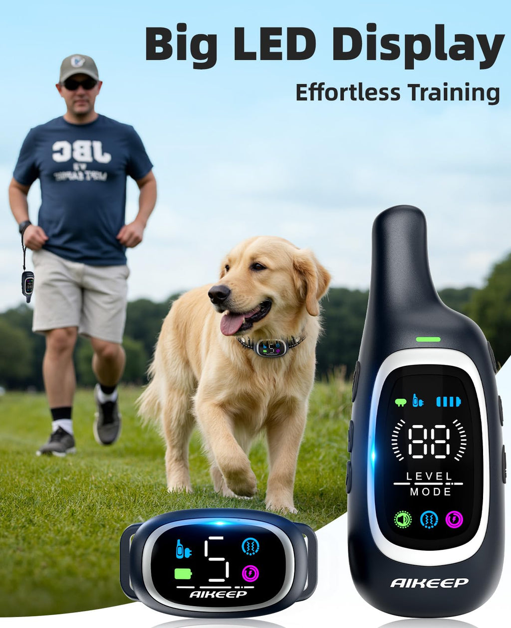 2-in-1 Dog Training Collar with Remote Y687
