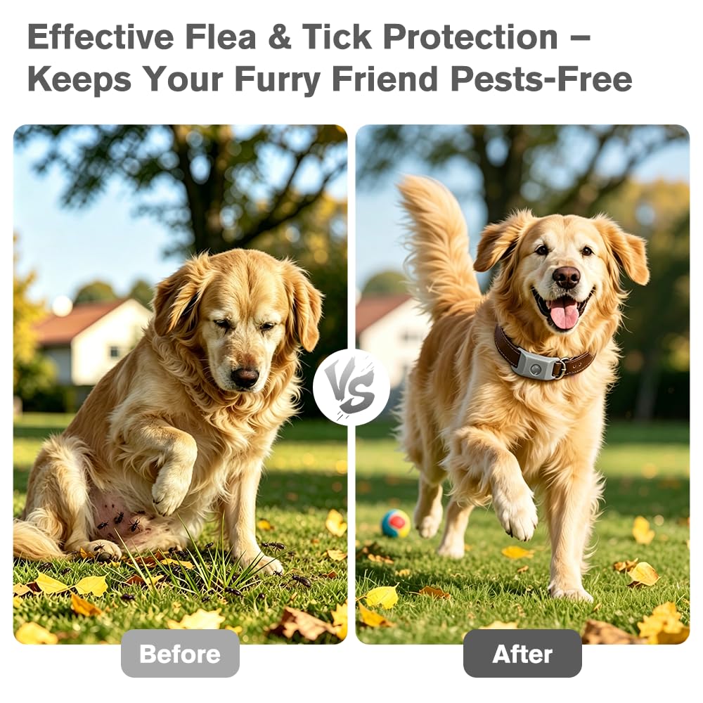 Flea and Tick Pendant for Dogs with 2 Silicone Buckles 4 Refills T280
