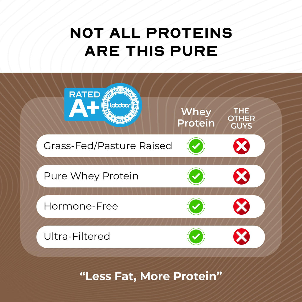 Grass-Fed Whey Protein Concentrate Powder, Chocolate (5lb) B349