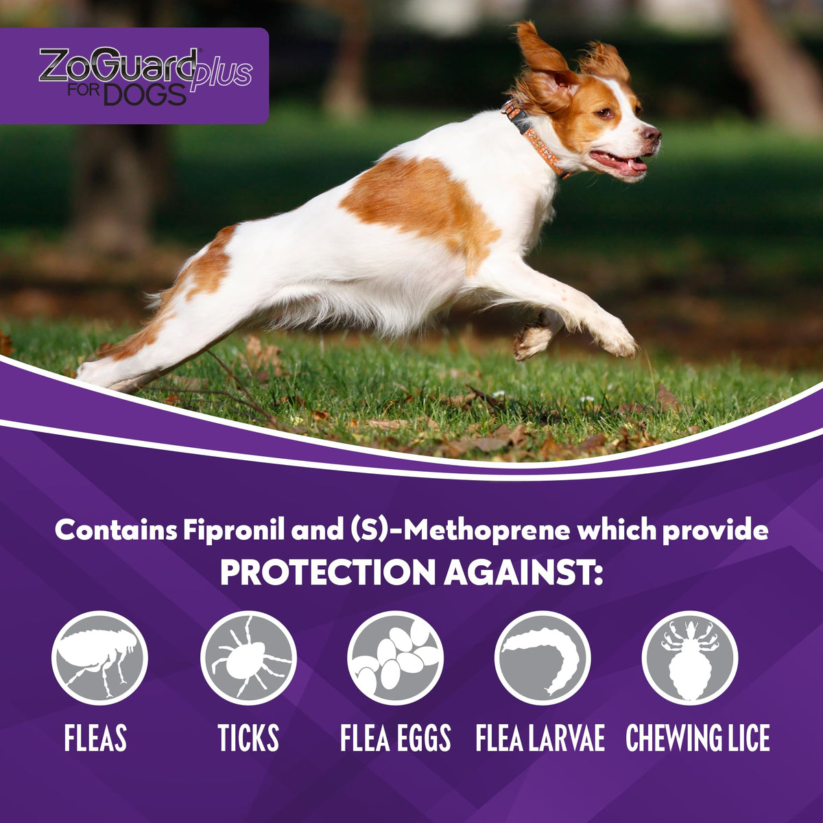 Flea and Tick Prevention for Medium Dogs 23-44lbs (3 Doses) F5732