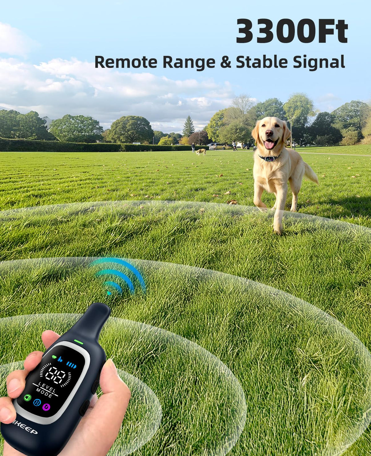 2-in-1 Dog Training Collar with Remote Y687