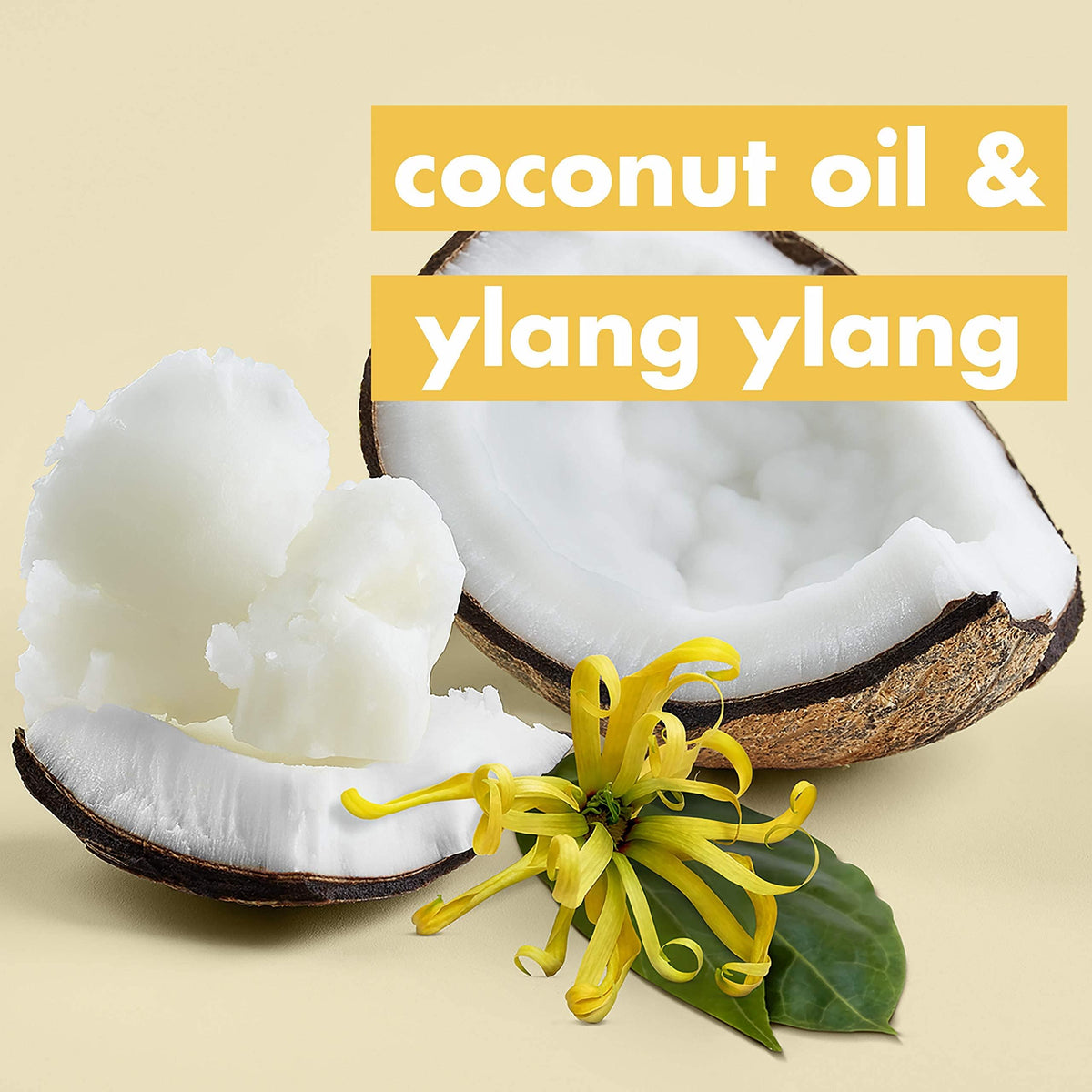 Coconut Oil & Ylang Shampoo and Conditioner 2 Count 13.5 oz G956