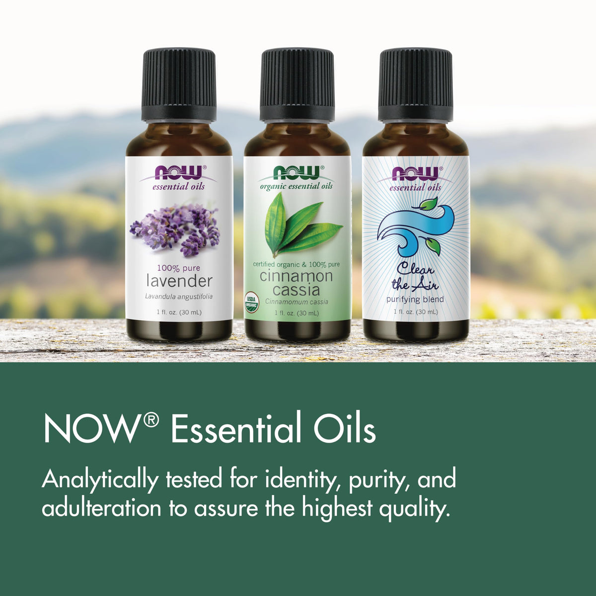 Organic Lavender Steam Distilled Essential Oil 4 fl. oz L93868