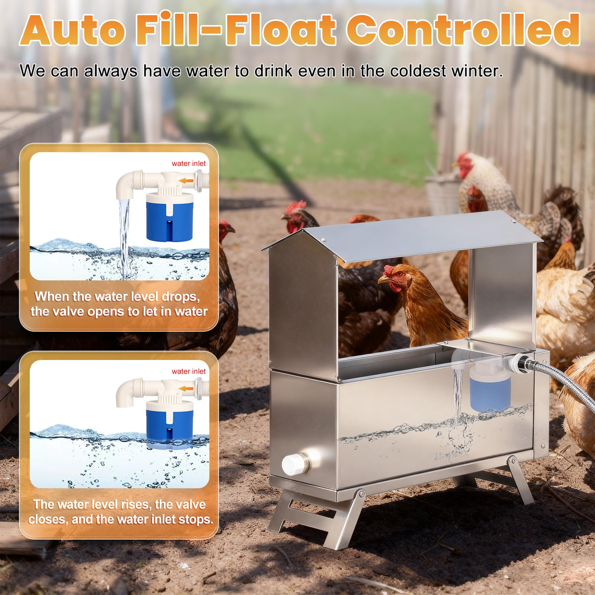 Heated 2 Gallon Stainless Steel Chicken Waterer Q82292
