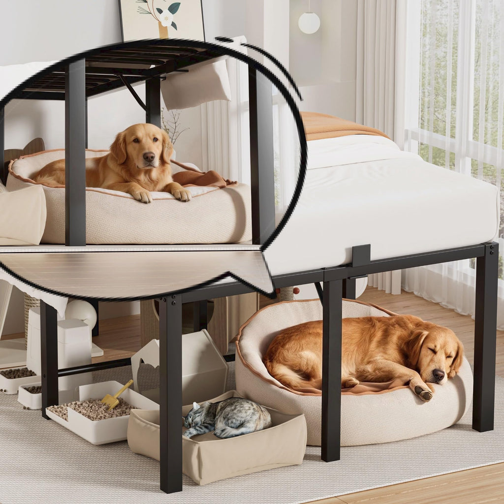 18 Inch Queen Size Black Metal Platform Bed Frame W30887